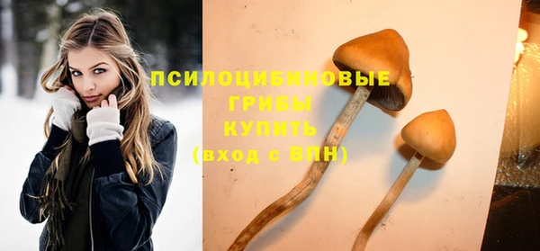 гидра Белоозёрский