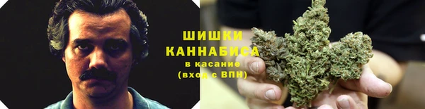 гидра Белоозёрский