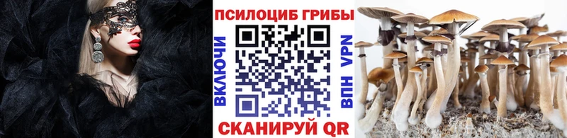 магазин наркотиков Новороссийск OMG Псилоцибиновые грибы мицелий